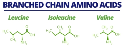BCAA - какво е това?